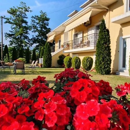 Sevi'S Luxury Guesthouse Villa Ioánina Exterior foto
